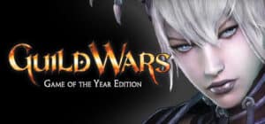 Guild Wars game banner