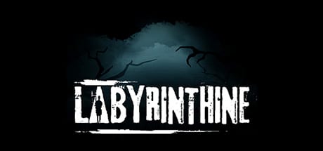 Labyrinthine game banner