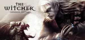 The Witcher game banner