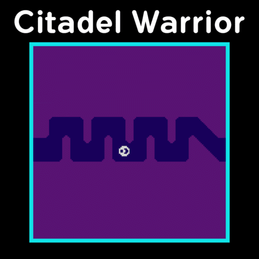 Citadel Warrior game banner