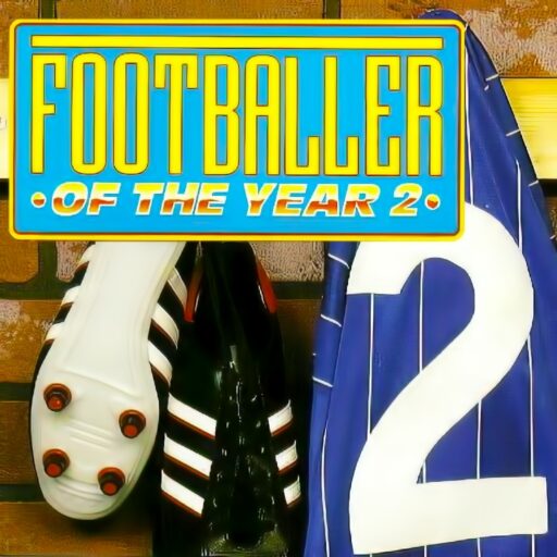 Footballer of the Year 2 game banner