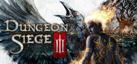 Dungeon Siege III game banner