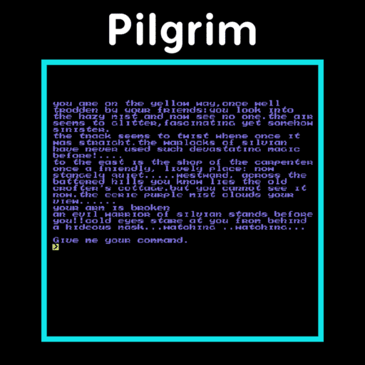 Pilgrims game banner