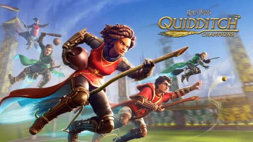 Harry Potter Quidditch Champions Game Banner