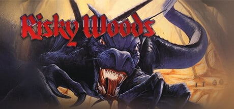 Risky Woods game banner - find out how to play with cloud gaming