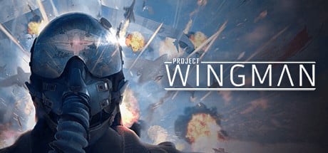 Project Wingman game banner