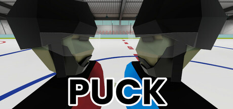 Puck game banner