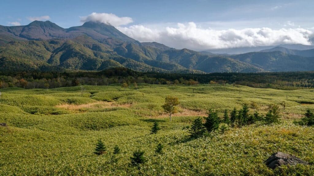 Green fields with scattered trees stretch toward distant mountains, where the Ghost of Yotei looms beneath a partly cloudy sky.