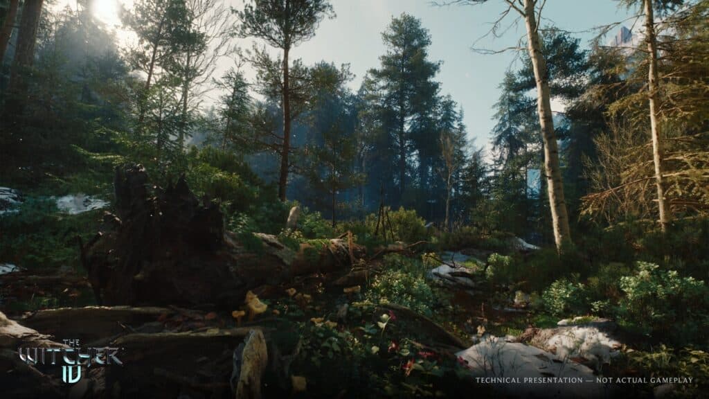 A dense, sunlit forest scene with deep shadows, fallen logs, and lush green foliage showcases "The Witcher" logo—capturing the atmosphere of The Witcher 4 Unreal Engine 5 Tech Demo.