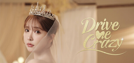 Drive Me Crazy game banner