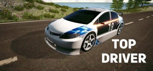 Top Driver game banner - find where to play in the cloud