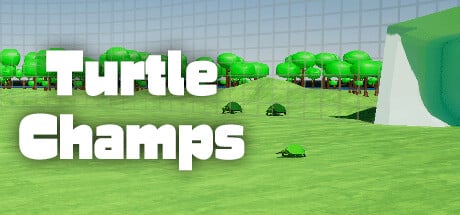 Turtle Champs game banner - find where to play in the cloud