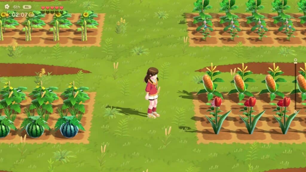 A girl stands in a farm field with various crops like corn, watermelon, and flowers growing in plots, in the charming world of Harvest Moon: Home Sweet Home Special Edition.