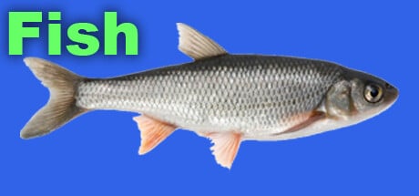 Fish game banner - find where to play in the cloud
