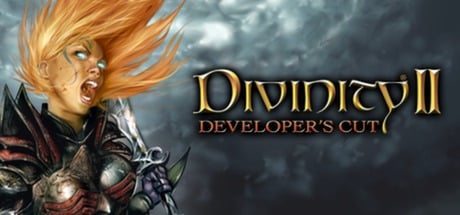Divinity II: Developer's Cut game banner - find where to play in the cloud