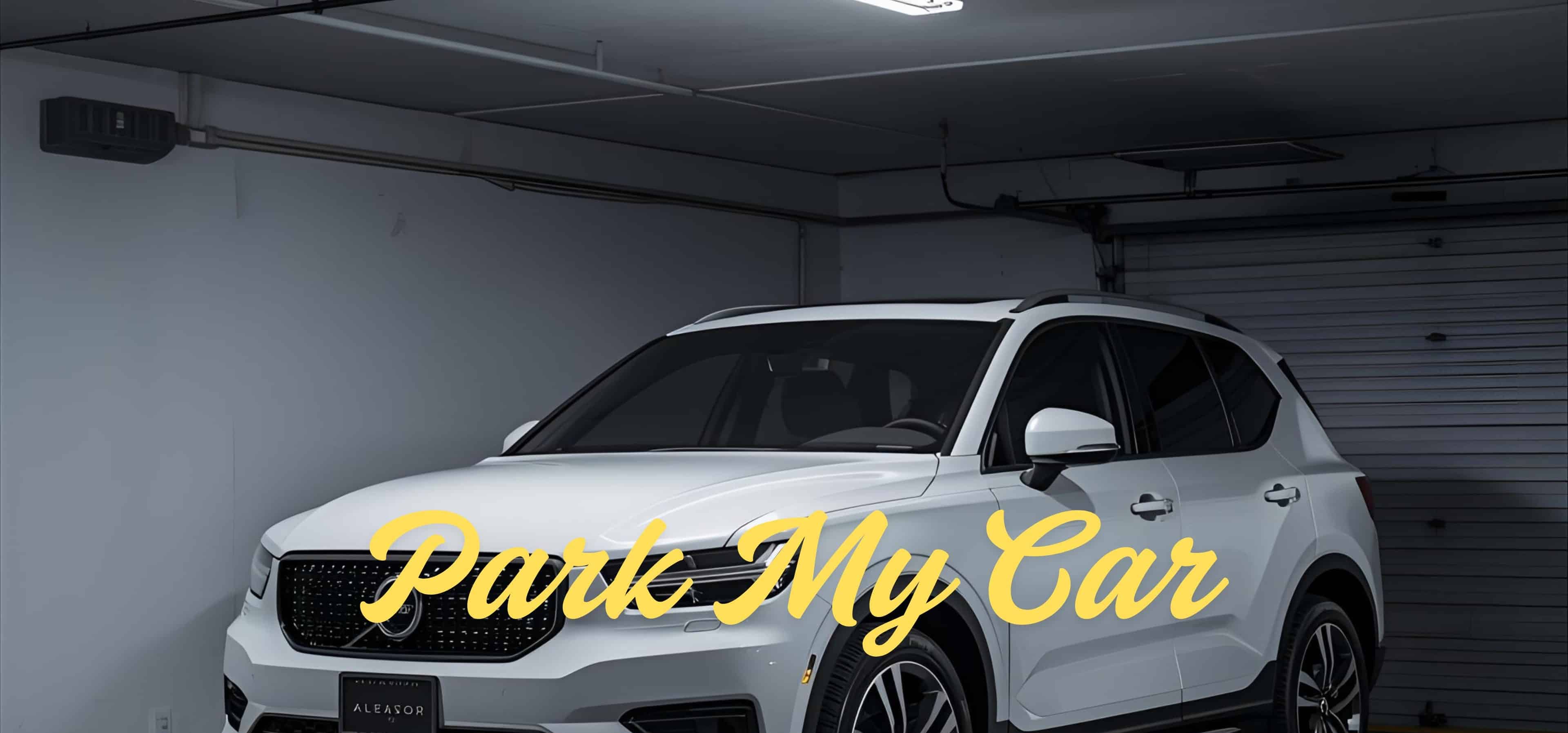Can you play Park my car on cloud gaming services?