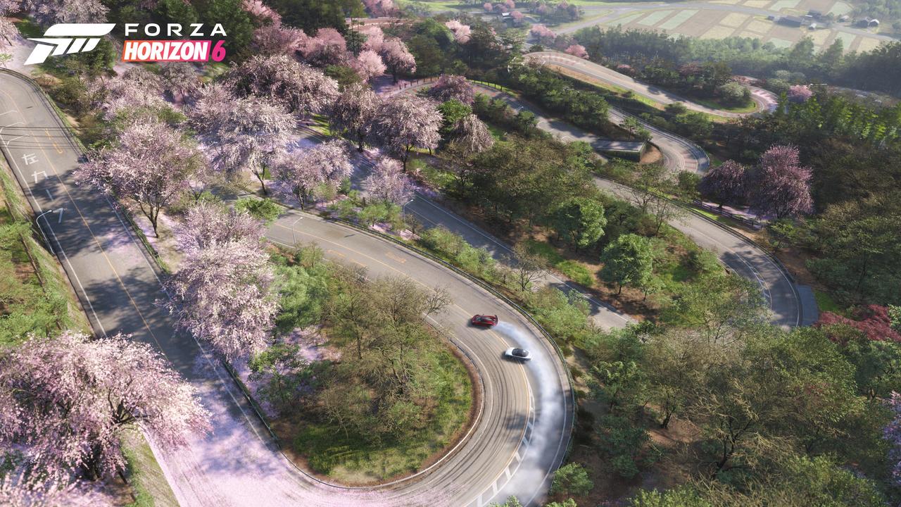 Two cars performing high-speed drifts on a winding mountain road surrounded by pink cherry blossom trees in Forza Horizon 6.