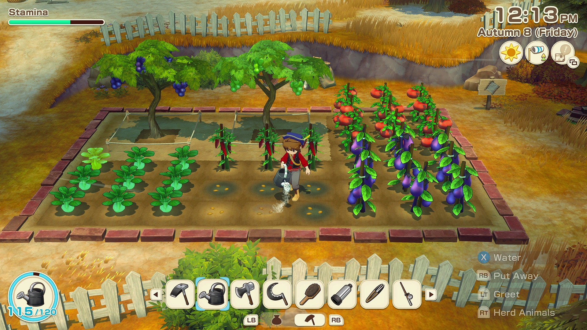 Character watering crops including grapes, chili peppers, eggplants, and tomatoes in a fenced garden plot in a farming simulation game