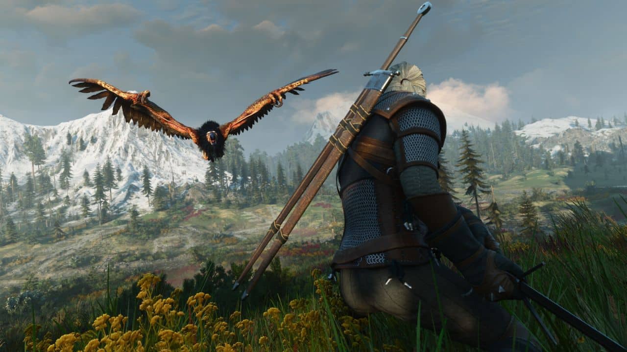 The Witcher